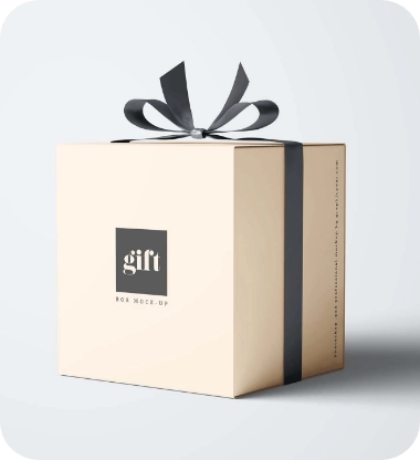 Collapsible Boxes
