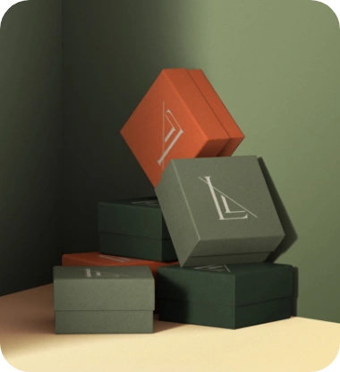 Luxury Clothing Packaging 1